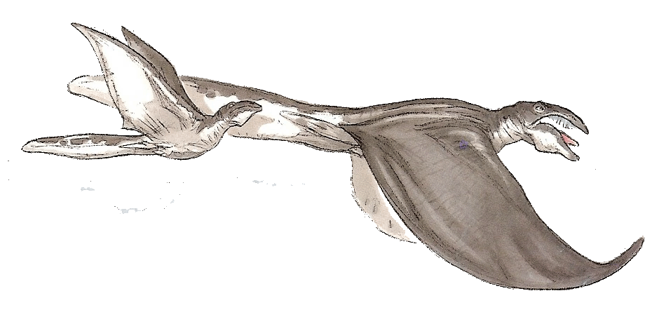 An aiwha pod, from The Wildlife of Star Wars: A Field Guide